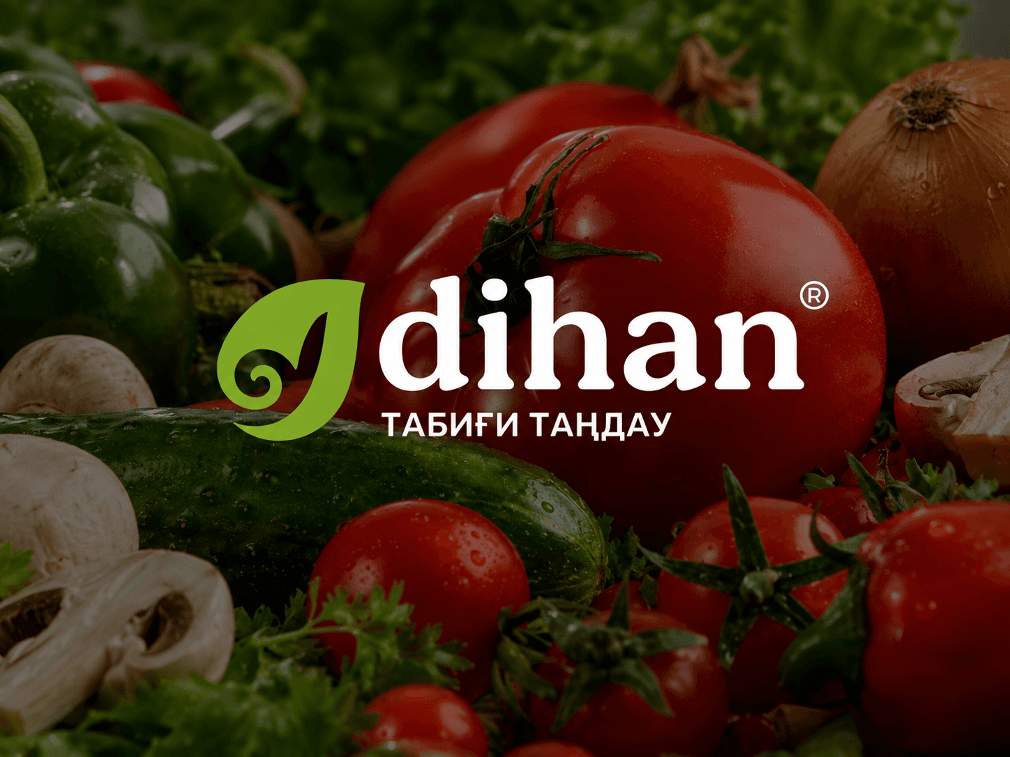 Dihan — кейс Magiceight